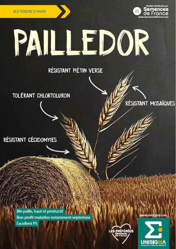pailledor