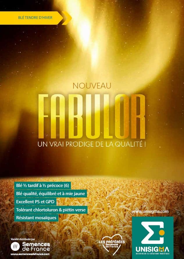 fabulor_visu