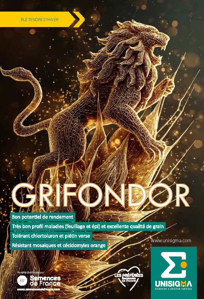 GRIFONDOR