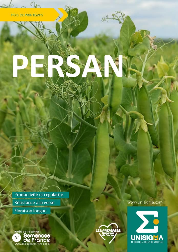 PERSAN_pois_FT_UNISIGMA_Page_1