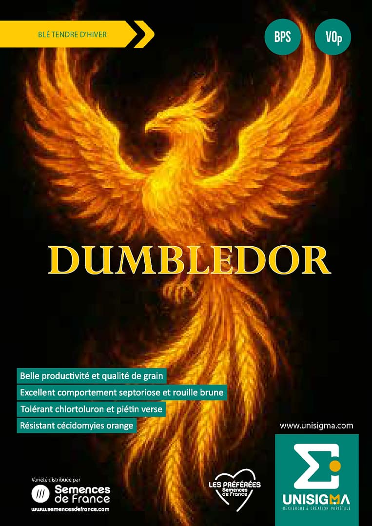DUMBLEDOR