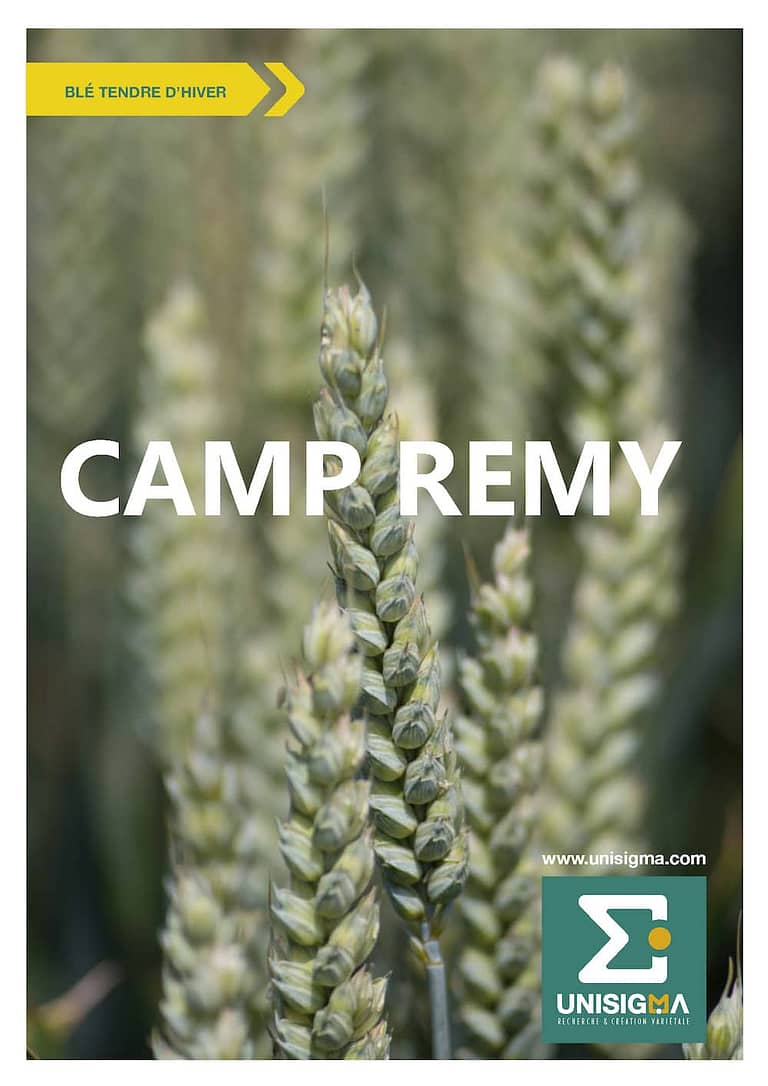 CAMP REMY